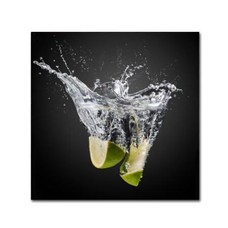 Trademark Fine Art isma Yunta 'Fresh Limes' Canvas Art, 14x14 1X00905-C1414GG